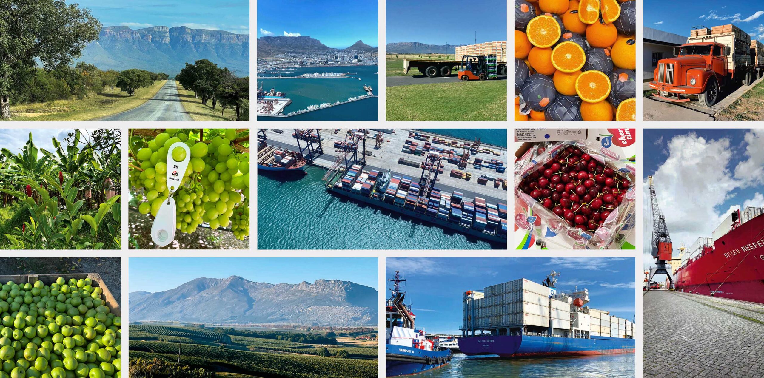 Wir stellen die Qualität unserer Früchte anhand der gesamten Wertschöpfungskette da