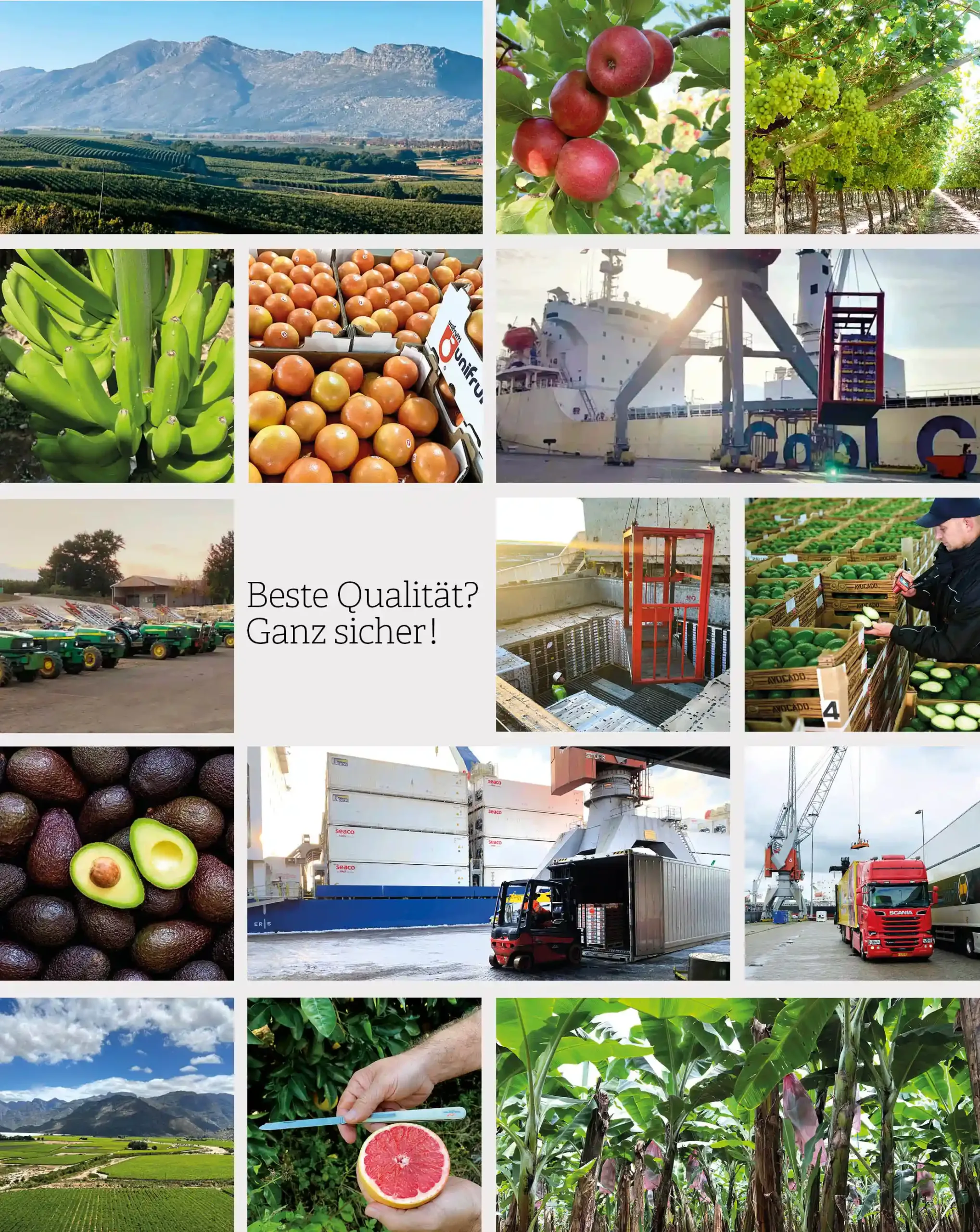 6_GFP_Qualitaet_mobile