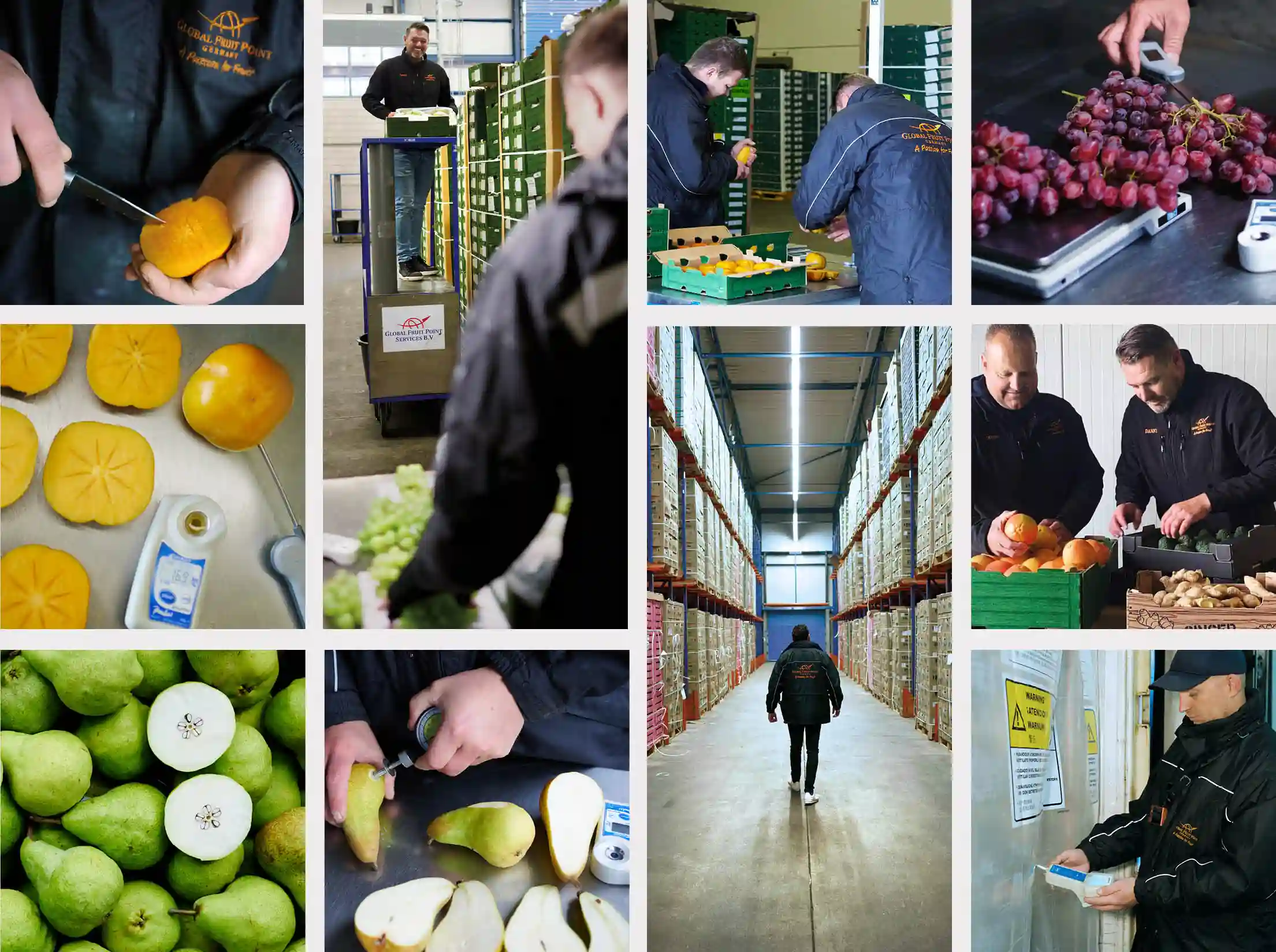 Qualitätssicherung durch Lebensmittelkontrollen entlang der gesamten Lieferkette