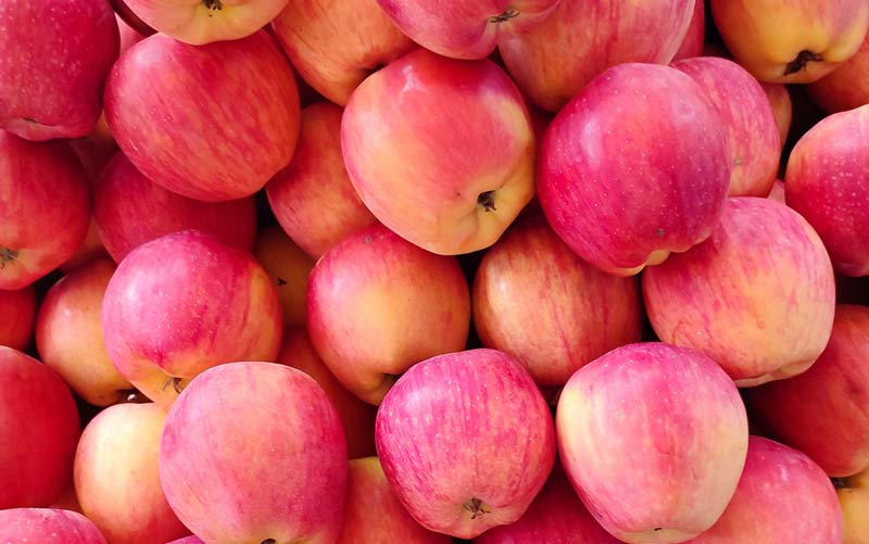 Äpfel – Cripps Pink