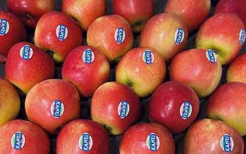 Äpfel – Kanzi