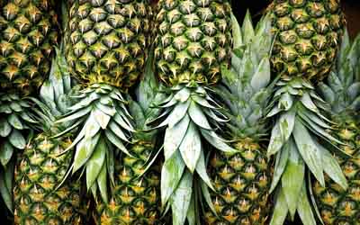 Ananas