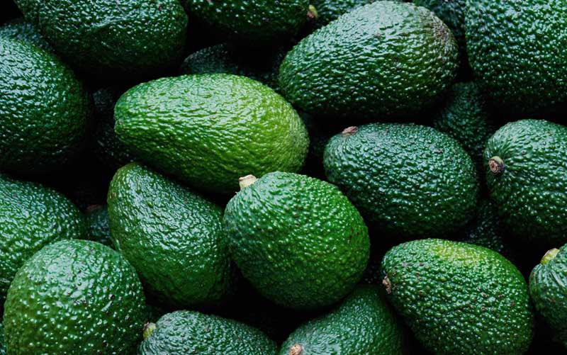 Avocados – Hass