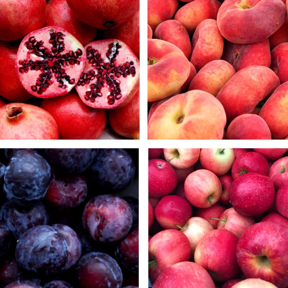 Unser Angebot an importierten Südfrüchten ist einmalig