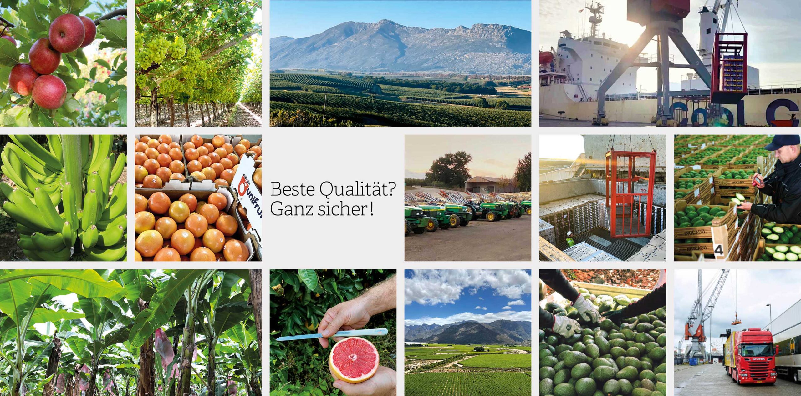 GFP_Beste_Qualitaet Obst und Gemüse in bester Qualität, in Zusammenarbeit mit zertifizierten Partnern; bester Qualitätssicherung und Lebensmittelkontrollen entlang der gesamten Lieferkette.