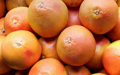 Grapefruit
