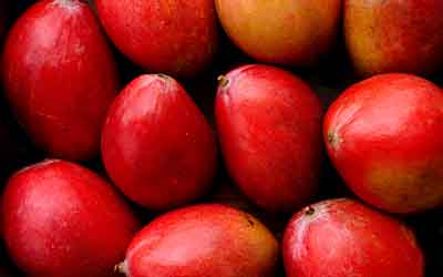 Mangos