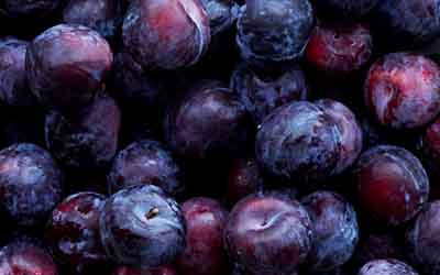 Pflaumen – dunkel