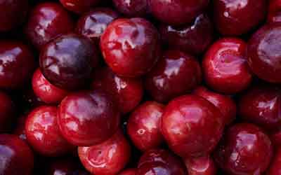 Pflaumen – rot