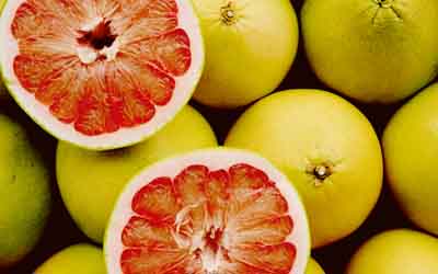 Pomelo