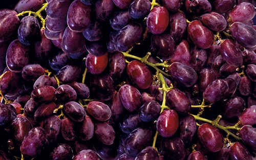 Trauben – rot