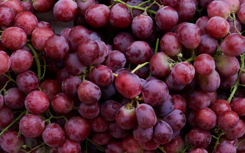 Trauben – rot