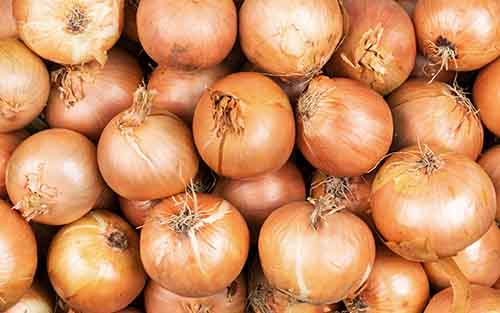 Zwiebeln – weiß